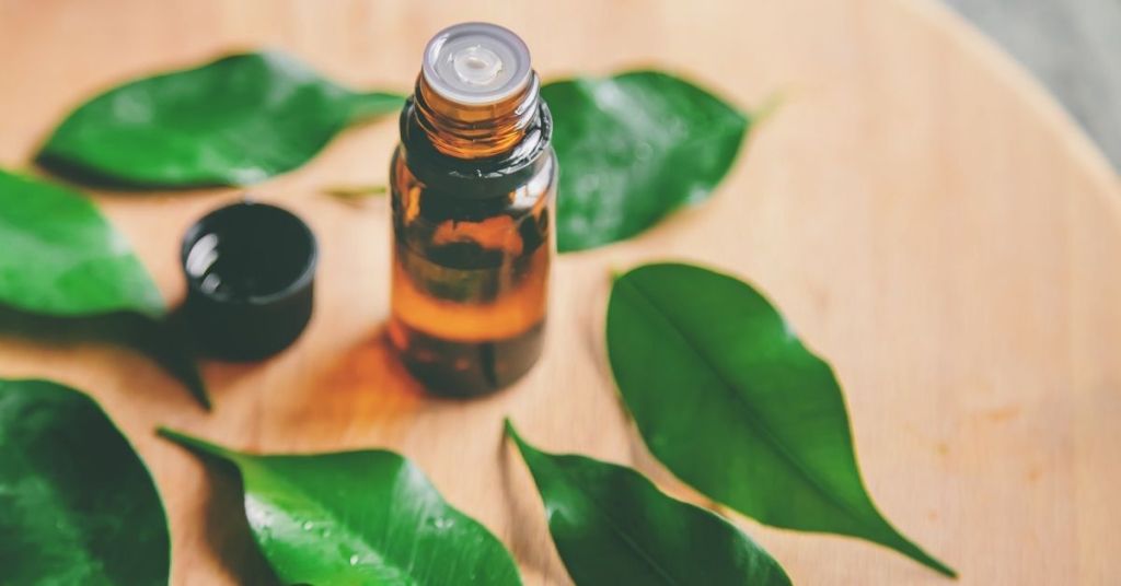 tea tree essential oil is one of the natural remedies for dandruff